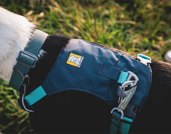 拉夫威尔 嗨轻胸背